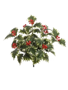 Variegated Holly Bush x9 With 54 Leaves (Lot of 1) SALE ITEM